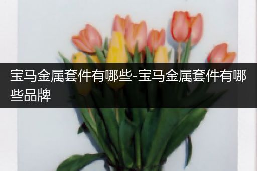 宝马金属套件有哪些-宝马金属套件有哪些品牌