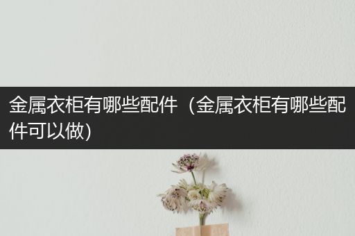 金属衣柜有哪些配件（金属衣柜有哪些配件可以做）