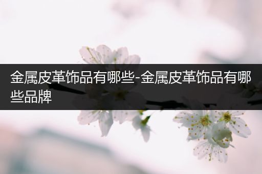 金属皮革饰品有哪些-金属皮革饰品有哪些品牌