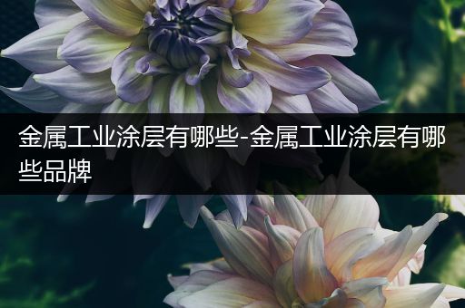 金属工业涂层有哪些-金属工业涂层有哪些品牌