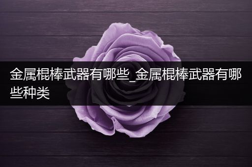 金属棍棒武器有哪些_金属棍棒武器有哪些种类