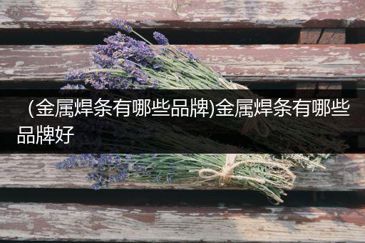 （金属焊条有哪些品牌)金属焊条有哪些品牌好