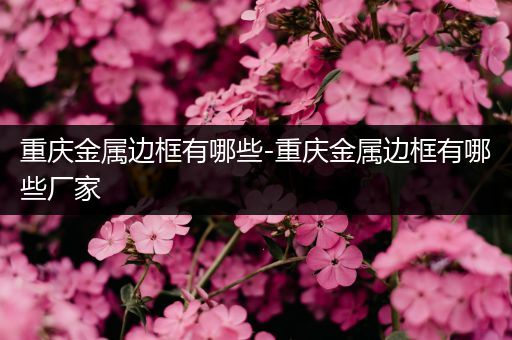 重庆金属边框有哪些-重庆金属边框有哪些厂家