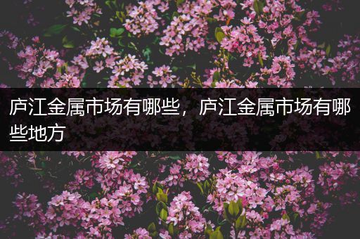 庐江金属市场有哪些，庐江金属市场有哪些地方