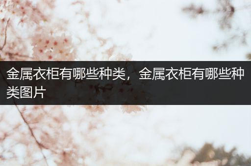 金属衣柜有哪些种类，金属衣柜有哪些种类图片