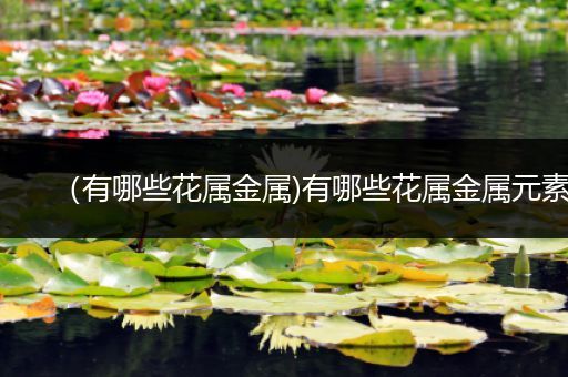 （有哪些花属金属)有哪些花属金属元素