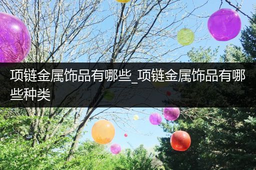 项链金属饰品有哪些_项链金属饰品有哪些种类