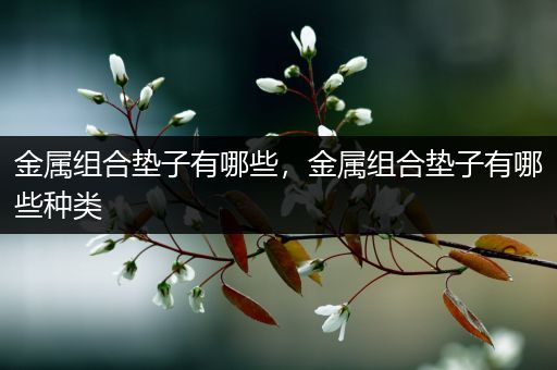 金属组合垫子有哪些，金属组合垫子有哪些种类