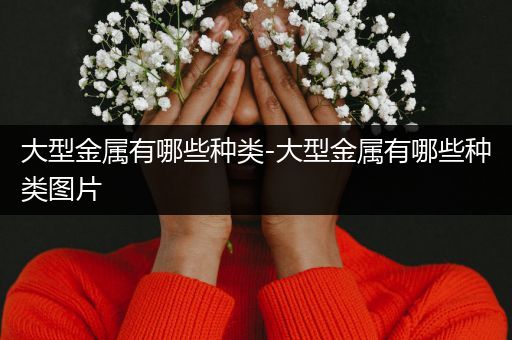 大型金属有哪些种类-大型金属有哪些种类图片