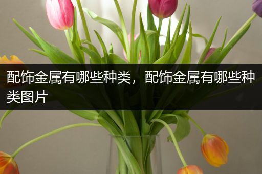配饰金属有哪些种类，配饰金属有哪些种类图片