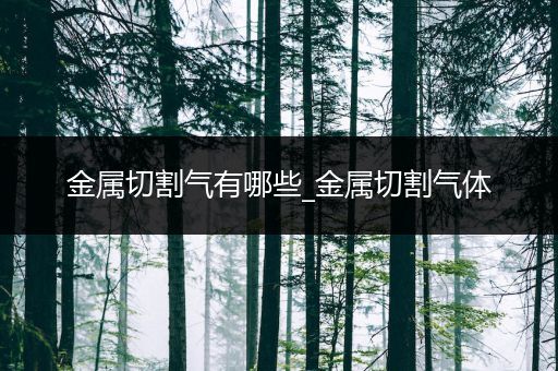 金属切割气有哪些_金属切割气体
