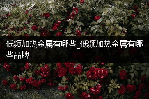 低频加热金属有哪些_低频加热金属有哪些品牌