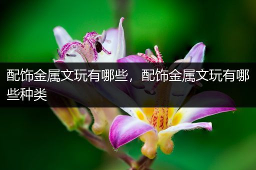 配饰金属文玩有哪些，配饰金属文玩有哪些种类