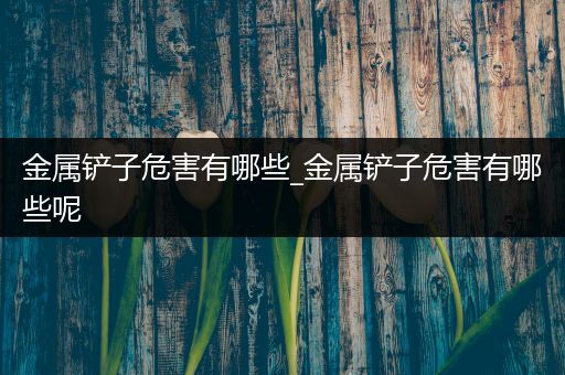金属铲子危害有哪些_金属铲子危害有哪些呢