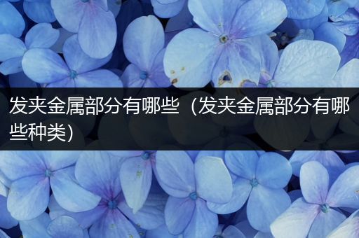 发夹金属部分有哪些（发夹金属部分有哪些种类）