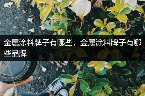 金属涂料牌子有哪些，金属涂料牌子有哪些品牌
