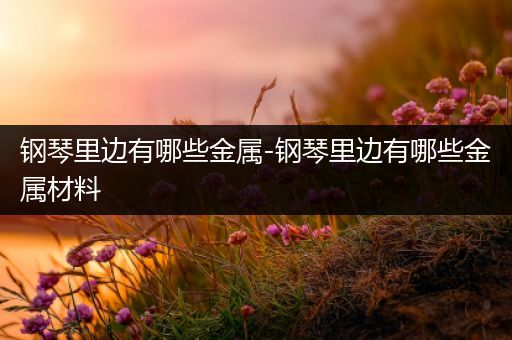 钢琴里边有哪些金属-钢琴里边有哪些金属材料