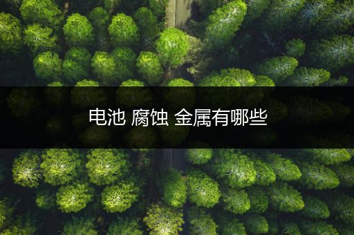 电池 腐蚀 金属有哪些