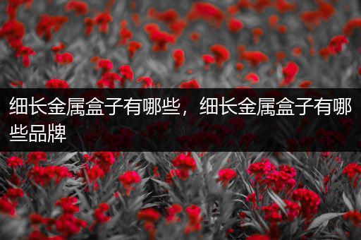 细长金属盒子有哪些，细长金属盒子有哪些品牌