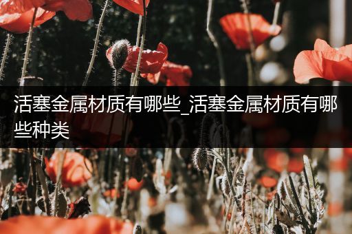 活塞金属材质有哪些_活塞金属材质有哪些种类