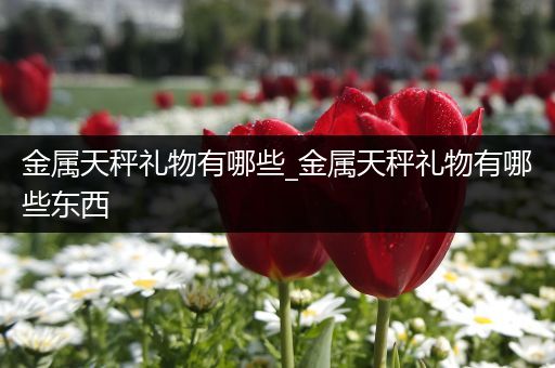 金属天秤礼物有哪些_金属天秤礼物有哪些东西