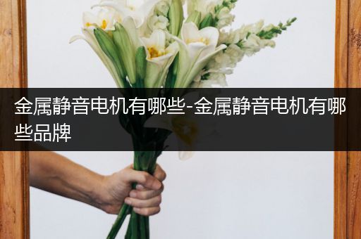 金属静音电机有哪些-金属静音电机有哪些品牌