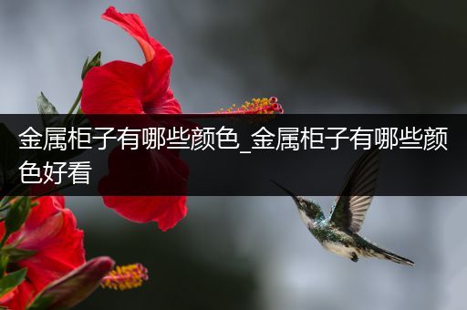 金属柜子有哪些颜色_金属柜子有哪些颜色好看