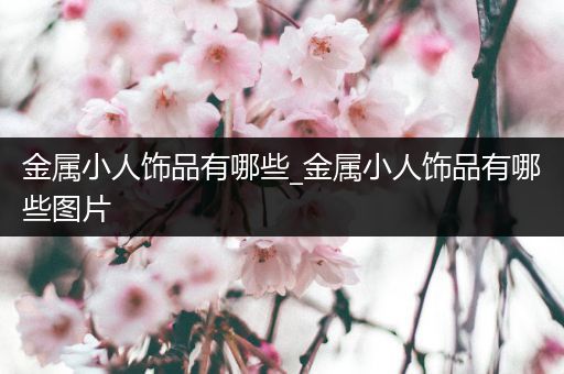 金属小人饰品有哪些_金属小人饰品有哪些图片