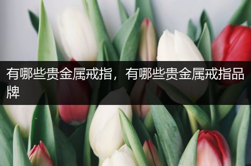 有哪些贵金属戒指，有哪些贵金属戒指品牌