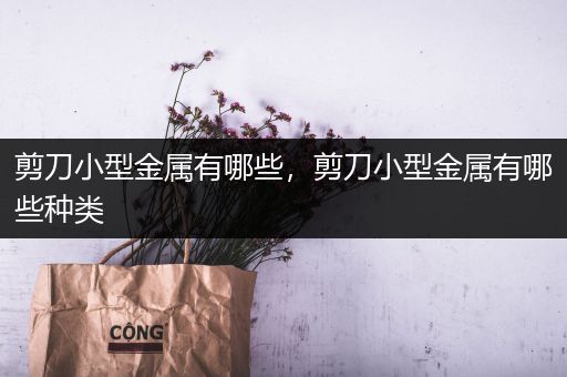 剪刀小型金属有哪些，剪刀小型金属有哪些种类