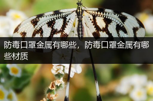 防毒口罩金属有哪些，防毒口罩金属有哪些材质