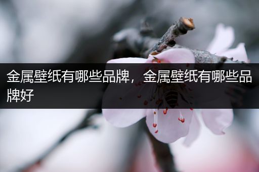 金属壁纸有哪些品牌，金属壁纸有哪些品牌好