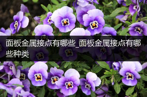 面板金属接点有哪些_面板金属接点有哪些种类