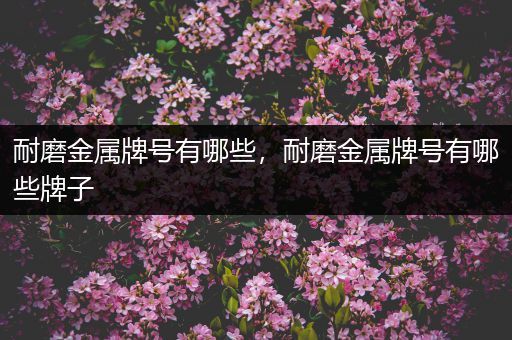 耐磨金属牌号有哪些，耐磨金属牌号有哪些牌子