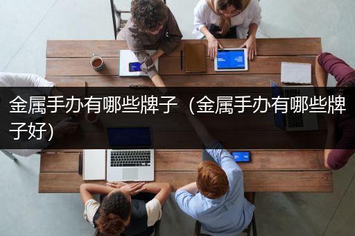 金属手办有哪些牌子（金属手办有哪些牌子好）
