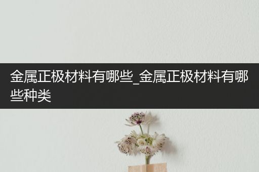 金属正极材料有哪些_金属正极材料有哪些种类