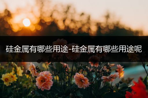 硅金属有哪些用途-硅金属有哪些用途呢