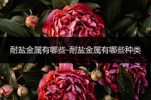 耐盐金属有哪些-耐盐金属有哪些种类