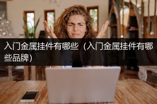 入门金属挂件有哪些（入门金属挂件有哪些品牌）
