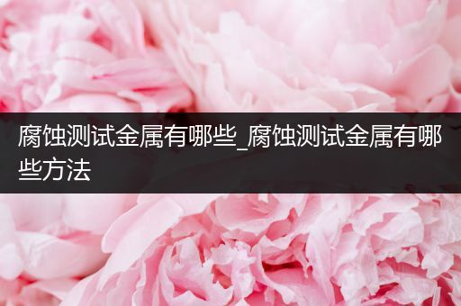 腐蚀测试金属有哪些_腐蚀测试金属有哪些方法