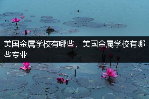 美国金属学校有哪些，美国金属学校有哪些专业