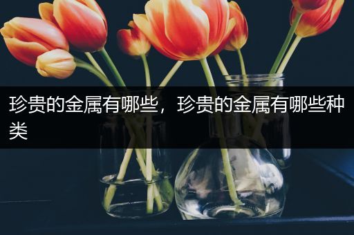 珍贵的金属有哪些，珍贵的金属有哪些种类