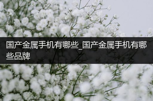 国产金属手机有哪些_国产金属手机有哪些品牌