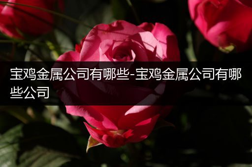 宝鸡金属公司有哪些-宝鸡金属公司有哪些公司