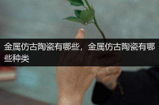 金属仿古陶瓷有哪些，金属仿古陶瓷有哪些种类