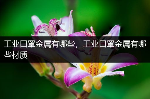 工业口罩金属有哪些，工业口罩金属有哪些材质