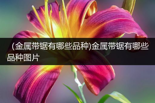 （金属带锯有哪些品种)金属带锯有哪些品种图片