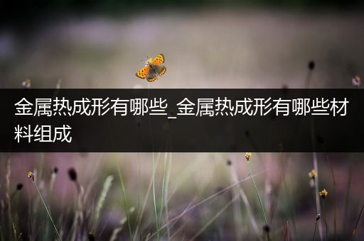 金属热成形有哪些_金属热成形有哪些材料组成