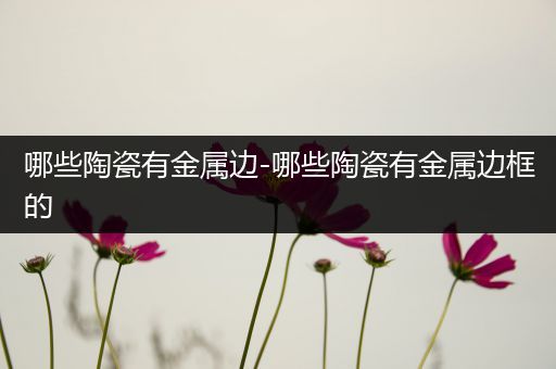 哪些陶瓷有金属边-哪些陶瓷有金属边框的