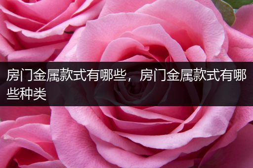 房门金属款式有哪些，房门金属款式有哪些种类